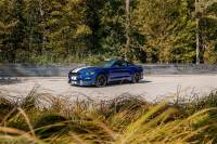 CORSA Performance - CORSA Performance 21096 Corsa 2015-2020 Ford Mustang GT350/R 5.2L V8 Dual Rear Cat-Back- Stainless Dual Rear Exit - Image 8