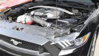 CORSA Performance - CORSA Performance 419950 Corsa 2015-2017 Ford Mustang GT 5.0L V8 Cold Air Intake with MaxFlow 5 Oiled Filter - Image 5