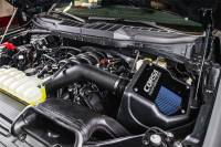 CORSA Performance - CORSA Performance 49150 Corsa 2021-2025 Ford F150 5.0L V8 Cold Air Intake MaxFlow 5 Oiled Filter - Image 3
