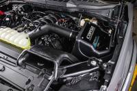 CORSA Performance - CORSA Performance 491506 Corsa 2021-2025 Ford F150 5.0L V8 Cold Air Intake with Powercore Filter - Image 4