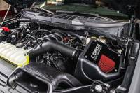 CORSA Performance - CORSA Performance 49150D Corsa 2021-2025 Ford F150 5.0L V8 Cold Air Intake with DryTech Filter - Image 3