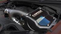 CORSA Performance - CORSA Performance 49835 Corsa 2017-2020 Ford F-150 / 2018-2022 Ford Expedition 3.5L Eco Cold Air Intake Oiled Filter - Image 3