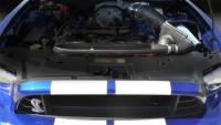 CORSA Performance - CORSA Performance 49858 Corsa 10-13 Ford Mustang Shelby GT500 5.4L/5.8L V8 Air Intake - Image 3