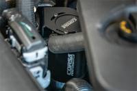 CORSA Performance - CORSA Performance CC0003 Corsa 2018-2023 Ford Mustang GT 5.0L V8 Oil Catch Can - Image 4
