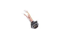 Radium Engineering - RADIUM Engineering 17-0028 Radium Engineering Bulkead Harness Internal Triple Walbro F90000262 Pump - Image 3
