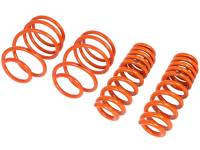 aFe - aFe 410-503003-N aFe Control Lowering Springs 07-13 BMW 335I (E90/92) - Image 4
