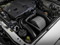 aFe - aFe 54-13012D aFe Magnum FORCE Stage-2 Pro DRY S Cold Air Intake System 01-16 Nissan Patrol (Y61) I6 4.8L - Image 2