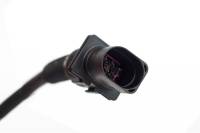 Haltech - Haltech HT-010719 Haltech Wideband Extension Harness for LSU4.9 - Image 1