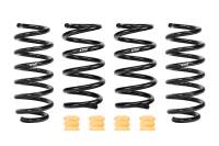 Eibach - Eibach E10-87-002-02-22 Eibach Pro-Kit EV for 24-25 Tesla Model Y RWD - Fits 2025 Tesla Y - Image 1