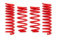Eibach - Eibach E20-15-021-06-22 Eibach Sportline Kit for Audi RS3 - Fits 2017-2025 Audi RS3 - Image 1