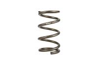 Eibach - Eibach PF0950.500.0500 Eibach Platinum Series Dirt Modified Front Springs 9.5in L 3.86in ID 5in OD 500 LB - Image 1