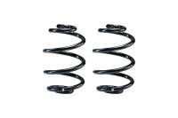 Eibach - Eibach R10006 Eibach 01-08 Mercedes-Benz C-Class RWD W3 4 Cyl. Single Front Spring - Fits select 2000-2008 Mercedes-Benz models - Image 1