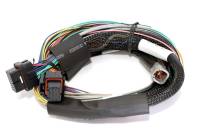 Haltech - Haltech HT-151302 Haltech Elite 2500 Basic Universal Wire-In Harness ECU Kit - Image 3