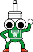 Tein - Tein nTN016-008-GB Tein Damper Keychain with Wrench - Green/Black - Image 1