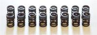 HKS - HKS 22001-AN002 HKS 91-00 Infiniti G20 SR20DET Outer Valve Spring Set - Image 1