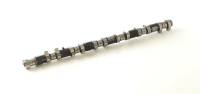HKS - HKS 2202-RT080 HKS 1JZ-GTE 272 Exhaust Cam - Image 1