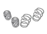 Whiteline - Whiteline WSK-BMW001 Whiteline 99-05 BMW 3 Series Coil Springs - Lowered - Image 3