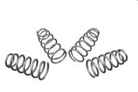 Whiteline - Whiteline WSK-TES001 Whiteline 2017+ Tesla Model 3 AWD Front & Rear Lowered Coil Springs - Image 2