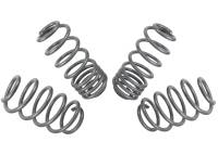 Whiteline - Whiteline WSK-VWN002 Whiteline 04-08 VW Golf Mk5 2.0 GTI Performance Lowering Springs - Image 3