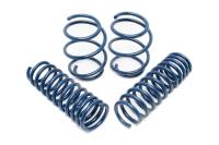 Dinan - GFBV D100-0917 Dinan Performance Spring Set - 2008-2013 BMW M3 - Fits 2008-2013 BMW M3 - Image 1