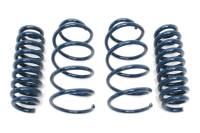 Dinan - GFBV D100-0919 Dinan Performance Spring Set - 2008-2011 BMW M3 - Fits 2008-2011 BMW M3 - Image 1