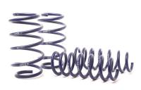 H&R - H&R Special Springs LP 28926-1 H&R 11-17 BMW X3 F25 Sport Spring - Image 2