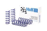 H&R - H&R Special Springs LP 28947-1 H&R 11-16 BMW 528i/535i F10 Sport Spring - Image 3