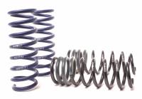 H&R - H&R Special Springs LP 28999-1 H&R 09-15 BMW 740i F01 Sport Spring (w/o Self-Leveling) - Image 1