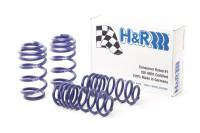H&R - H&R Special Springs LP 29001-3 H&R 13-17 Audi SQ5 (AWD) 8R Sport Spring - Image 3