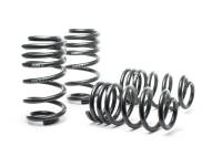 H&R - H&R Special Springs LP 29298-1 H&R 03-04 Audi RS6/RS6 Avant (AWD) Sport Spring - Image 1