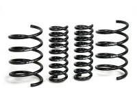 H&R - H&R Special Springs LP 29392 H&R 01-06 Mercedes-Benz C240/C320/C55 AMG W203 Sport Spring - Image 1