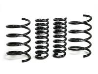 H&R - H&R Special Springs LP 29392 H&R 01-06 Mercedes-Benz C240/C320/C55 AMG W203 Sport Spring - Image 4