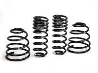 H&R - H&R Special Springs LP 29513-2 H&R 98-04 Porsche 911/996 C2 (2WD) Cabrio/Targa Sport Spring - Image 2