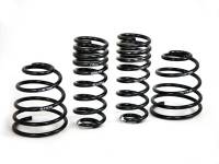 H&R - H&R Special Springs LP 29513-2 H&R 98-04 Porsche 911/996 C2 (2WD) Cabrio/Targa Sport Spring - Image 4