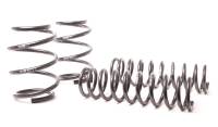 H&R - H&R Special Springs LP 29764 H&R 96-03 BMW 540i E39 Sport Spring (Non Touring & w/o Sport Susp.) - Image 1