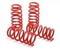 H&R - H&R Special Springs LP 29798-1 H&R 98-04 Audi A6 Avant Quattro (AWD) Race Spring - Image 2