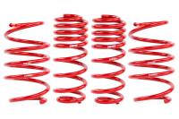 APR - HJQF SUS00021 APR Roll-Control Lowering Springs - Fits 2019-2026 Volkswagen Jetta - Image 2