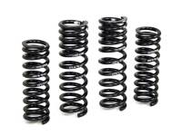 H&R - H&R Special Springs LP 29927-1 H&R 94-95 Mercedes-Benz C280 W202 Sport Spring (Before 12/31/95) - Image 1