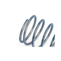 APR - HJQF Z1001791 APR R1 DV Higher Pressure Spring - Fits select 1976-2025 Porsche, Audi applications - Image 3