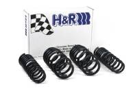 H&R - H&R Special Springs LP 50396 H&R 96-01 Audi A4 Quattro (AWD) B5 Sport Spring - Image 2