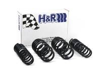 H&R - H&R Special Springs LP 50396 H&R 96-01 Audi A4 Quattro (AWD) B5 Sport Spring - Image 4