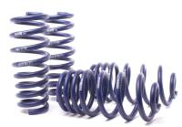 H&R - H&R Special Springs LP 50435 H&R 07-13 BMW X5 E70 Sport Spring (w/o Self-Leveling/Incl. Diesel) - Image 1