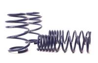 H&R - H&R Special Springs LP 50463 H&R 05-10 BMW M5 E60 Sport Spring - Image 3