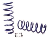 H&R - H&R Special Springs LP 50469 H&R 10-16 BMW 535i Gran Turismo/550i Gran Turismo F07 Sport Spring (w/Self-Leveling) - Image 3
