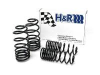 H&R - H&R Special Springs LP 54746 H&R 93-94 Volkswagen Passat Sedan VR6 Sport Spring - Image 2