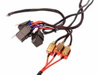 Aeromotive - Aeromotive 16313 Aeromotive Wiring Harness Kit - Triple Fuel Pump - Image 3